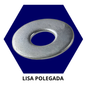 Lisa Polegada