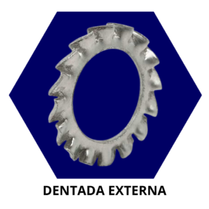Dentada Externa